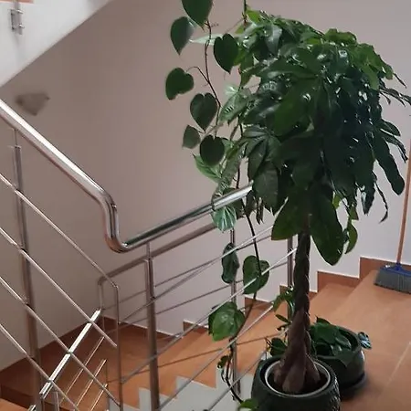 Apartment Dativo House *