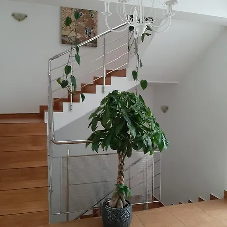 Apartment Dativo House Navodari