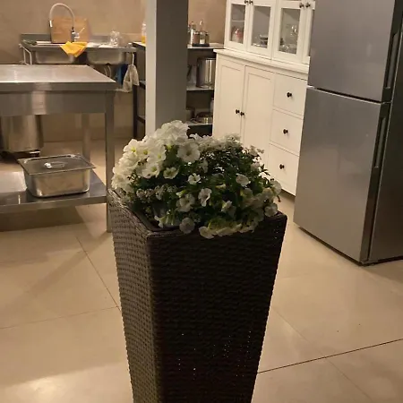 Dativo House Apartment *