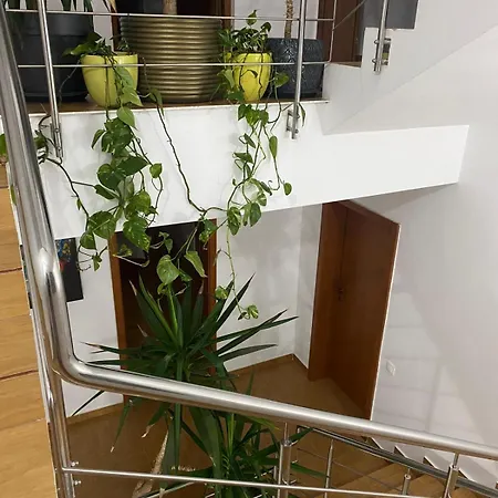 Apartment Dativo House