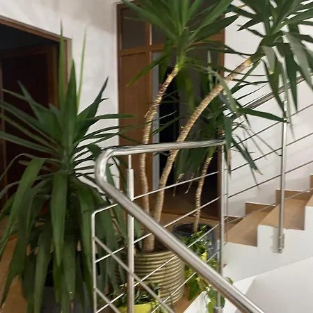 Apartment Dativo House *